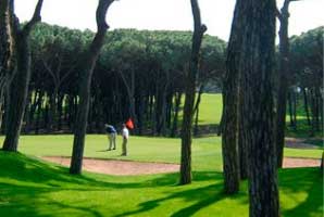noves_imatges/golf-responsive.jpg